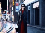 Sora的惊人魅力：解说视频揭秘